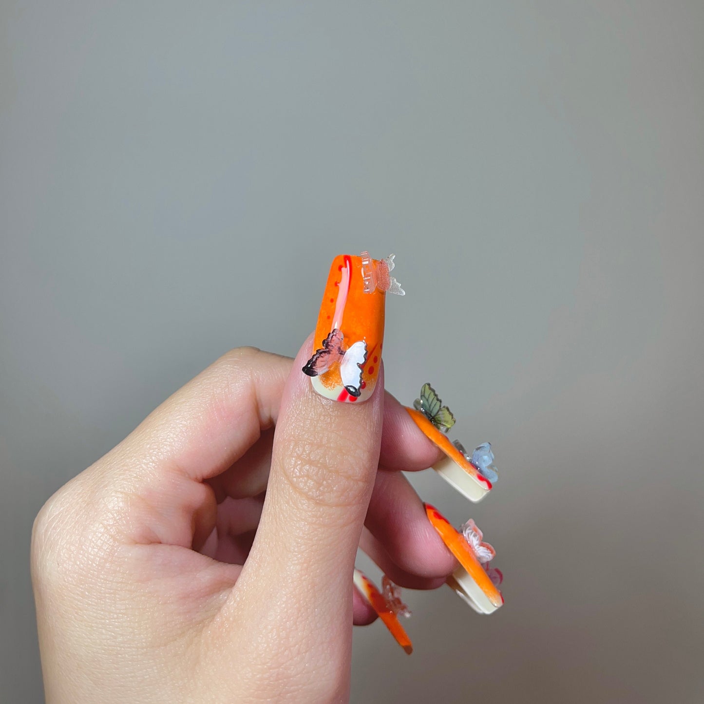 Paramita Butterfly